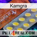 Kamgra 42